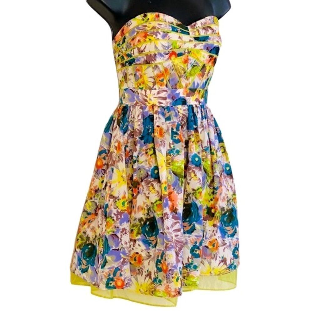 Minuet Floral Fit & Flare Floral Organza Tulle Petticoat Mini Dress Sz S NWT